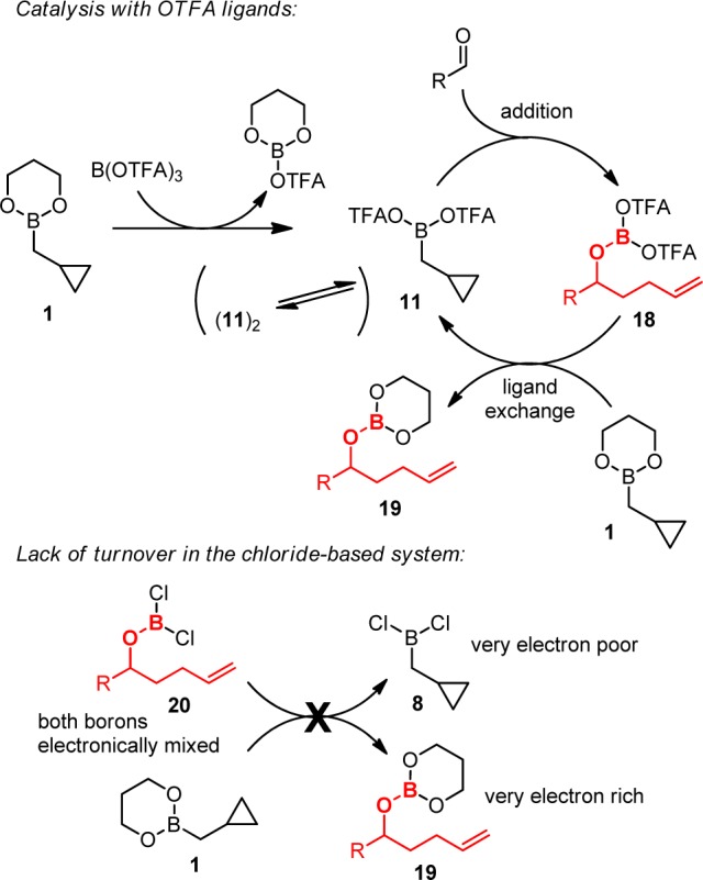 Scheme 4