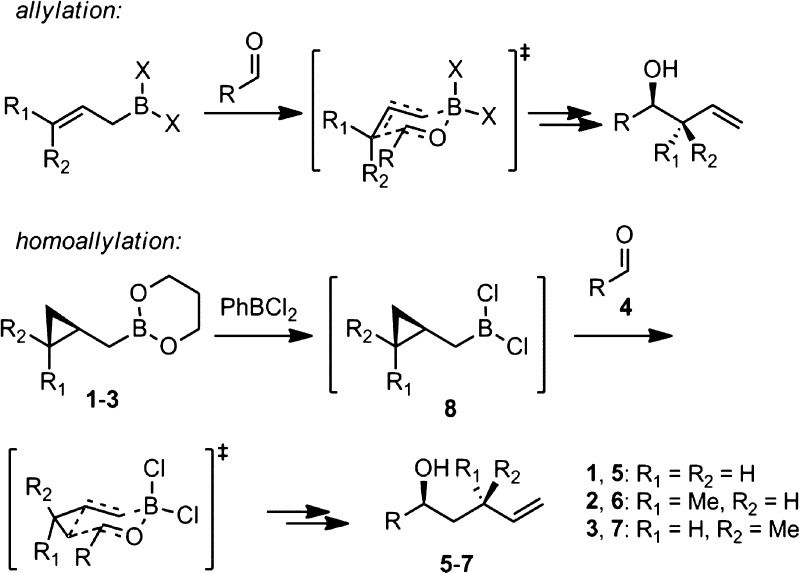 Scheme 1