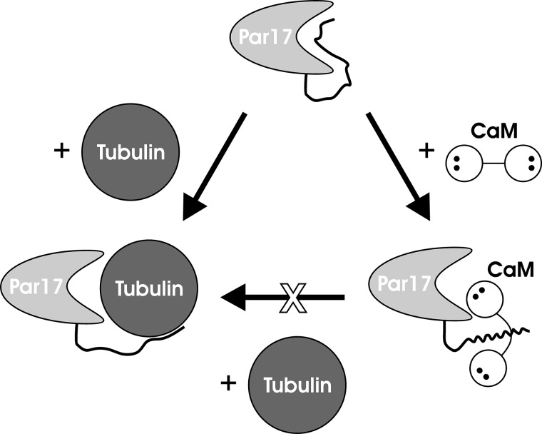 FIGURE 11.