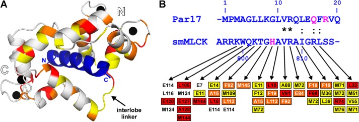 FIGURE 10.