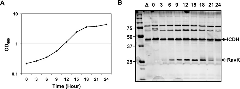 Fig 2