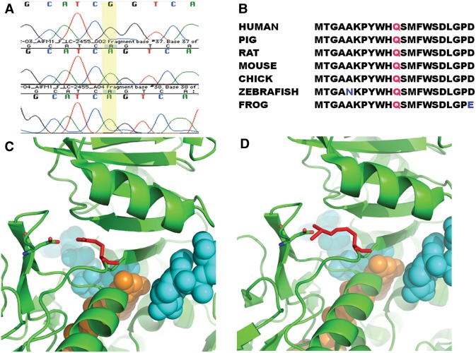 Figure 5.