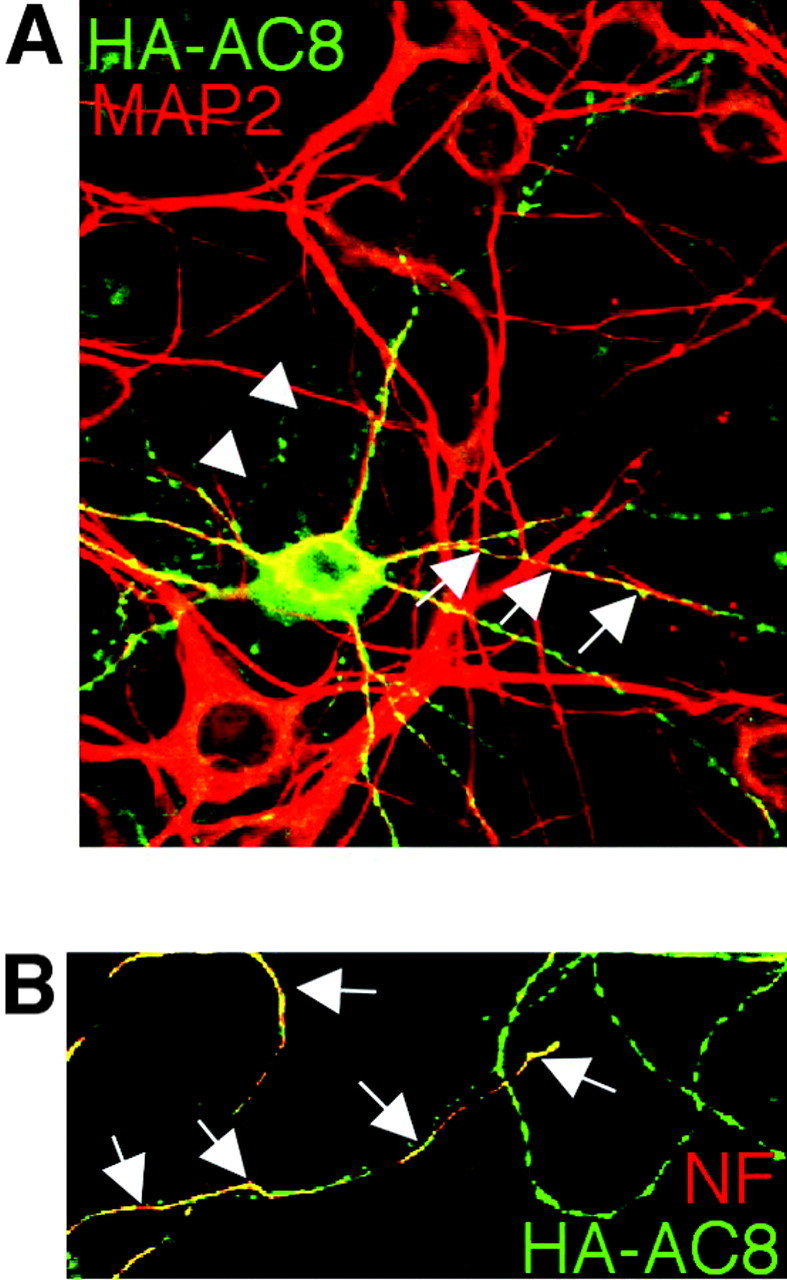 Figure 7.