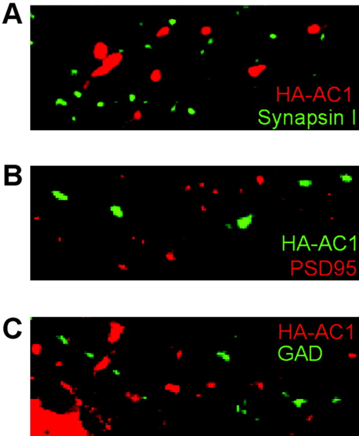 Figure 10.