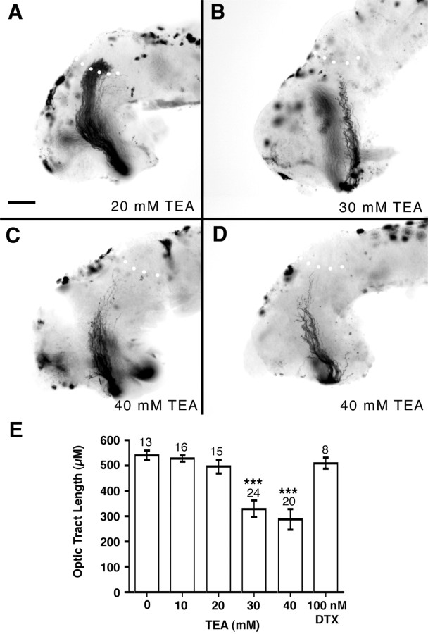 Fig. 9.