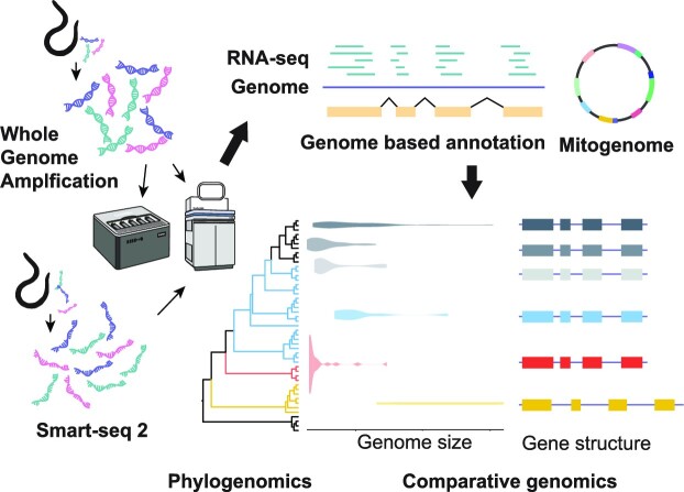 Graphical Abstract