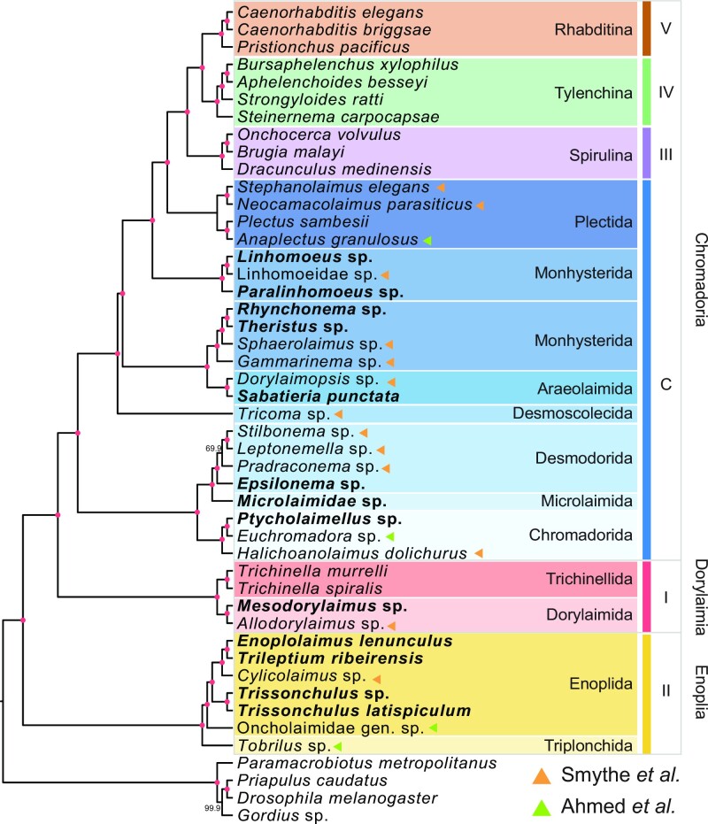 Figure 4.