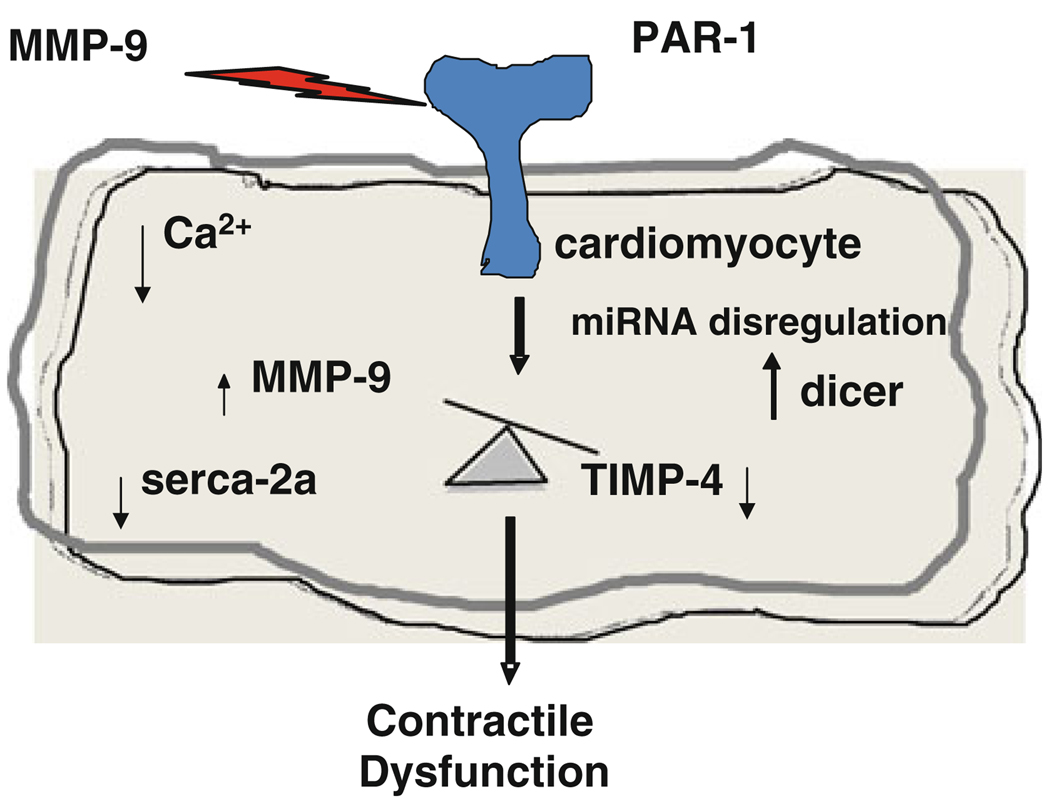 Fig. 8