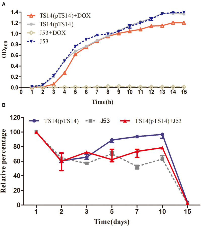 FIGURE 4