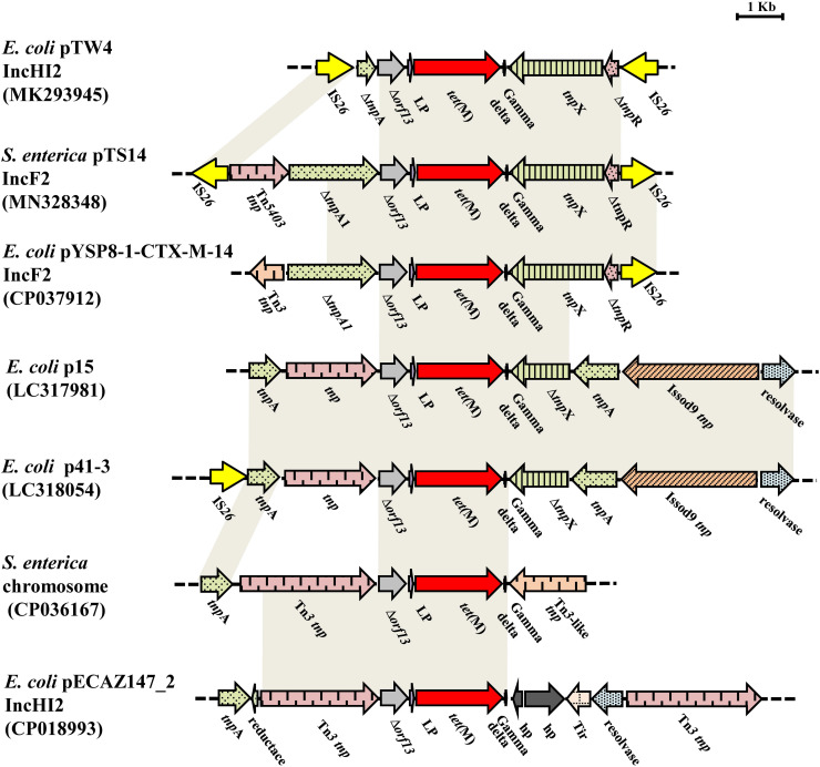 FIGURE 3