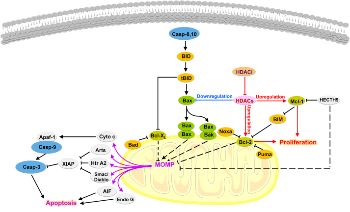 Figure 5