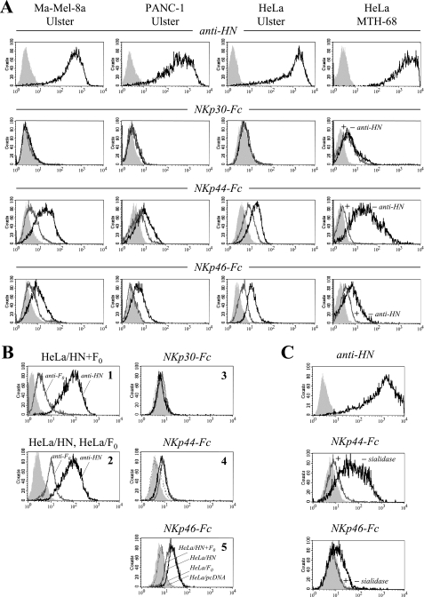 FIG. 2.