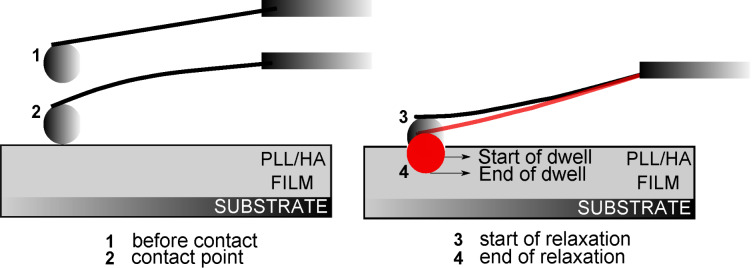 Figure 8