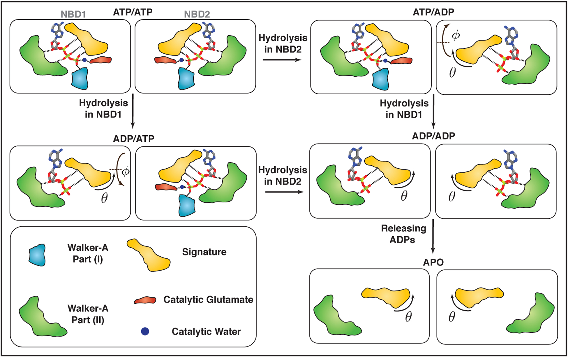 FIGURE 6