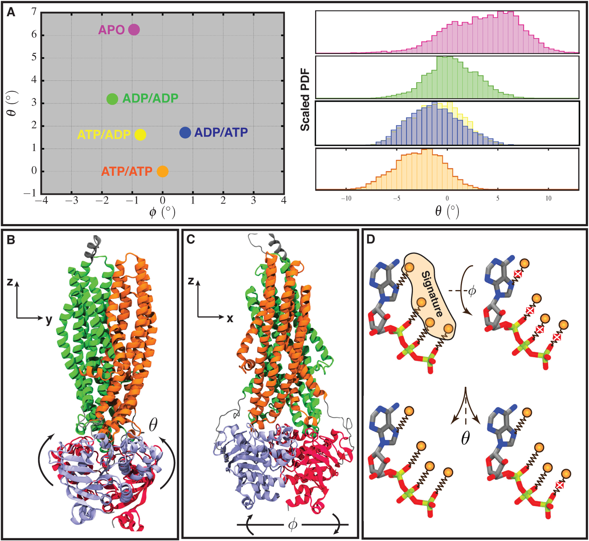 FIGURE 3