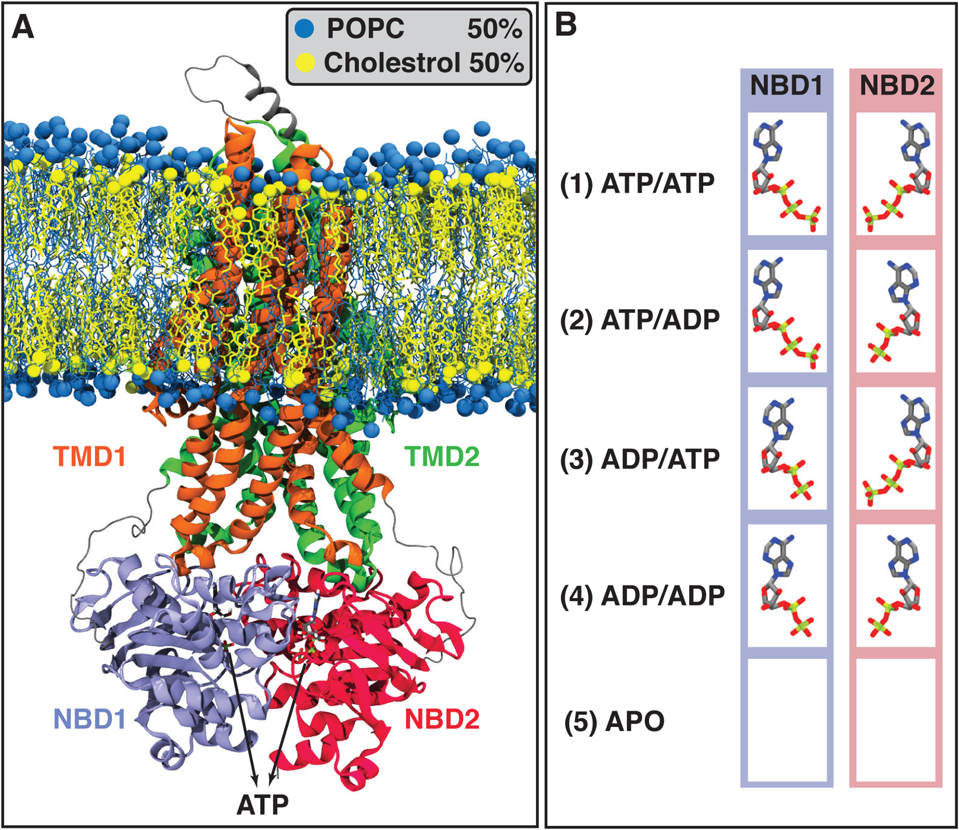 FIGURE 1