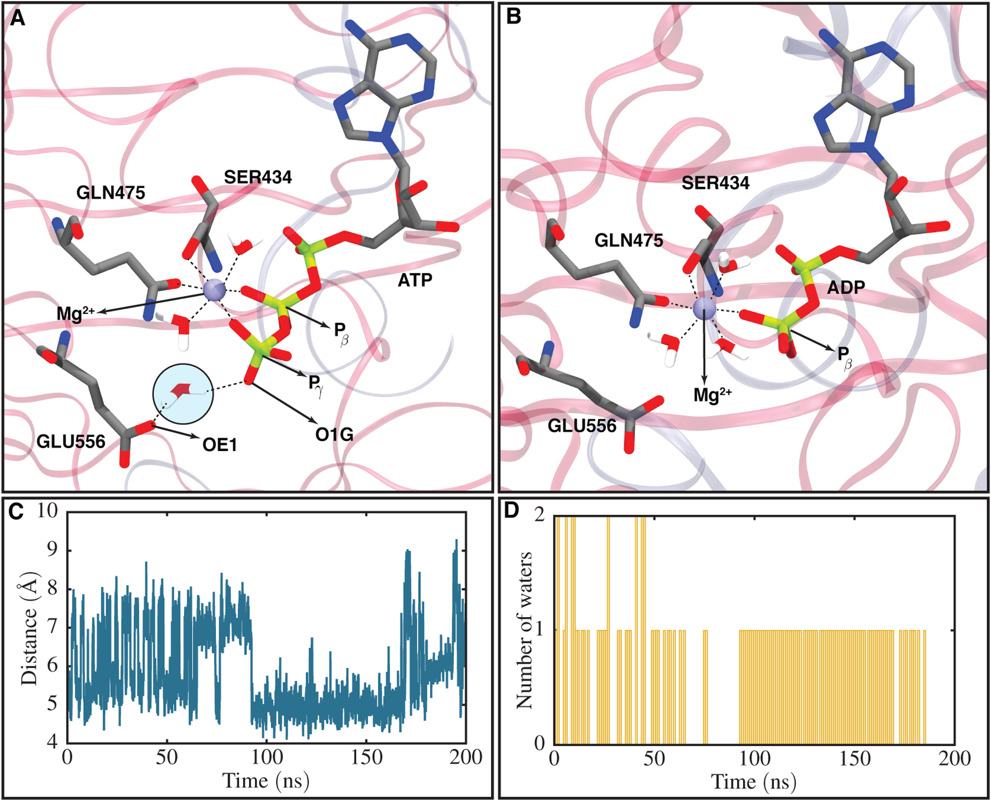 FIGURE 4