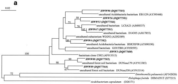 FIG.4.