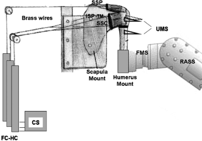 Figure 3.