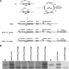 FIG 3