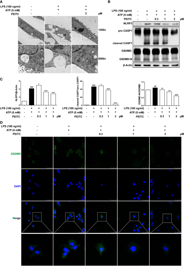 Figure 6