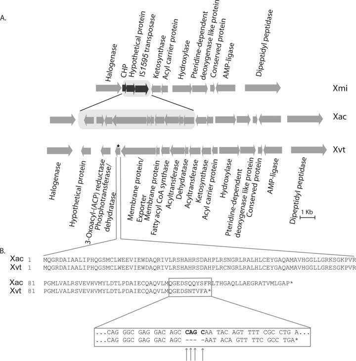 FIG 9