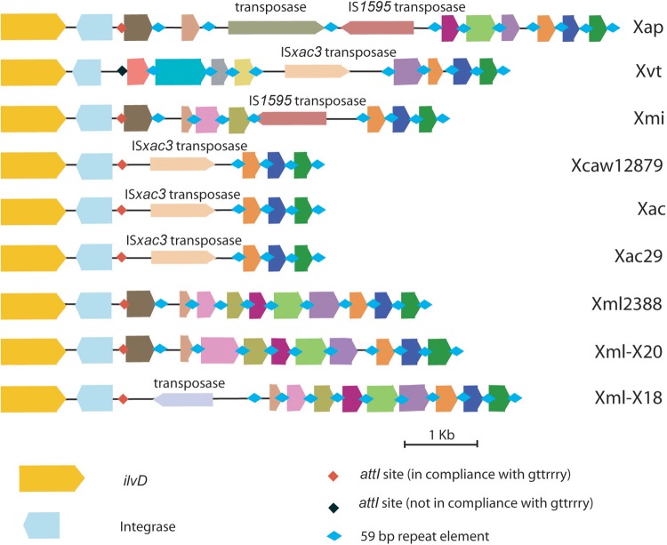 FIG 6