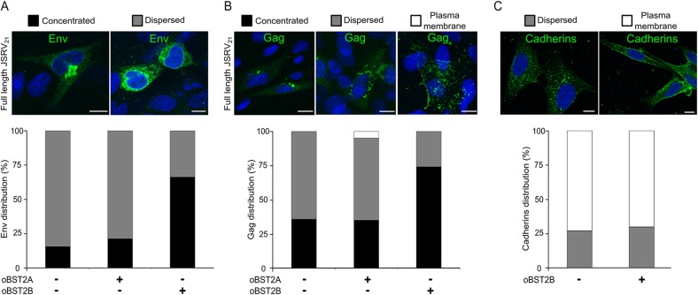 FIG 4