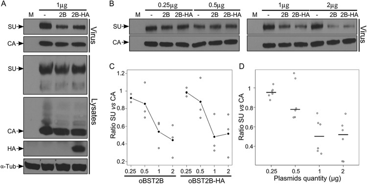 FIG 6