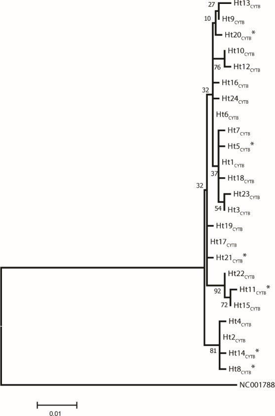 Figure 1