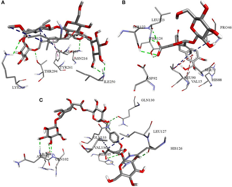 Figure 11