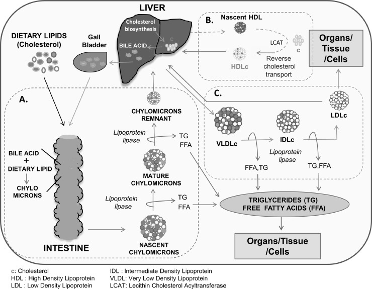 Fig 2