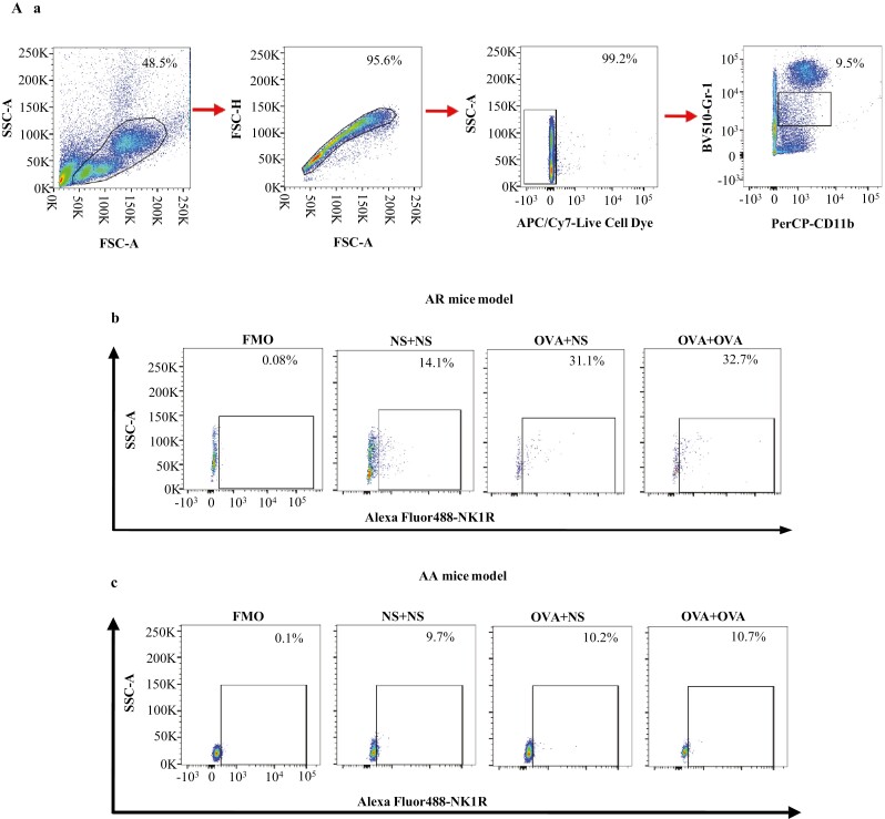 Figure 4: