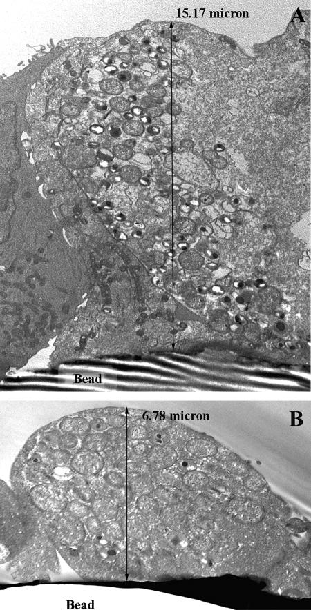 FIG. 6.