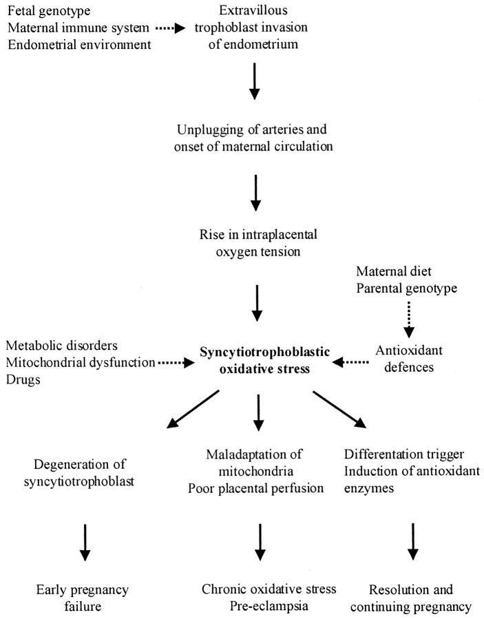 Figure 9.