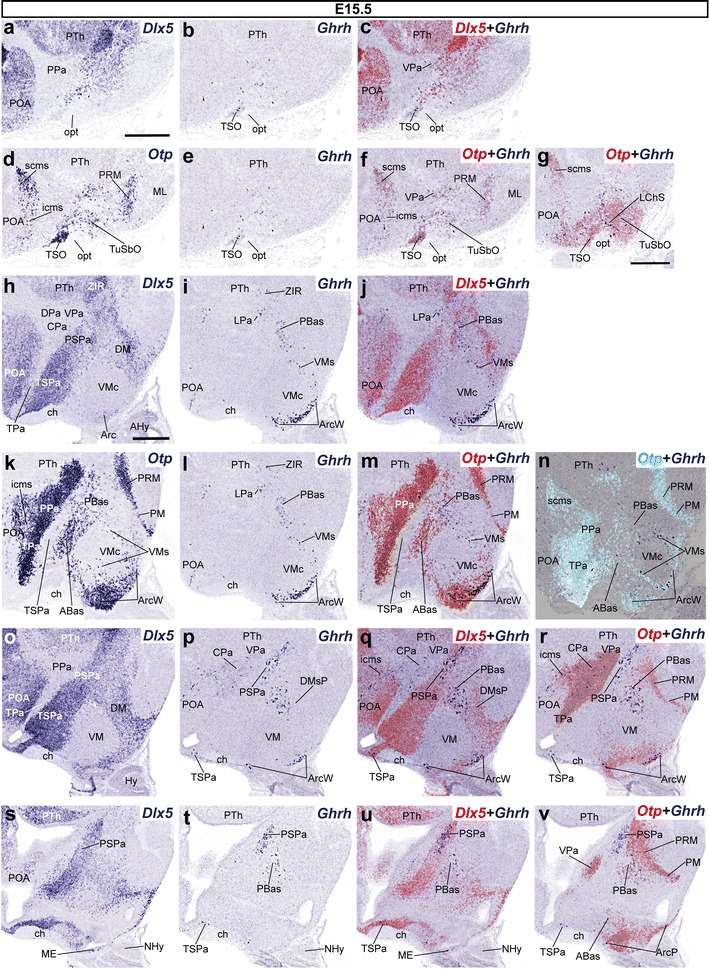 Fig. 10