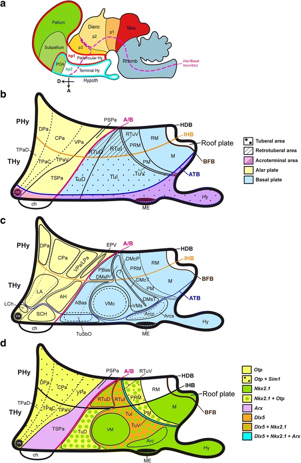 Fig. 1