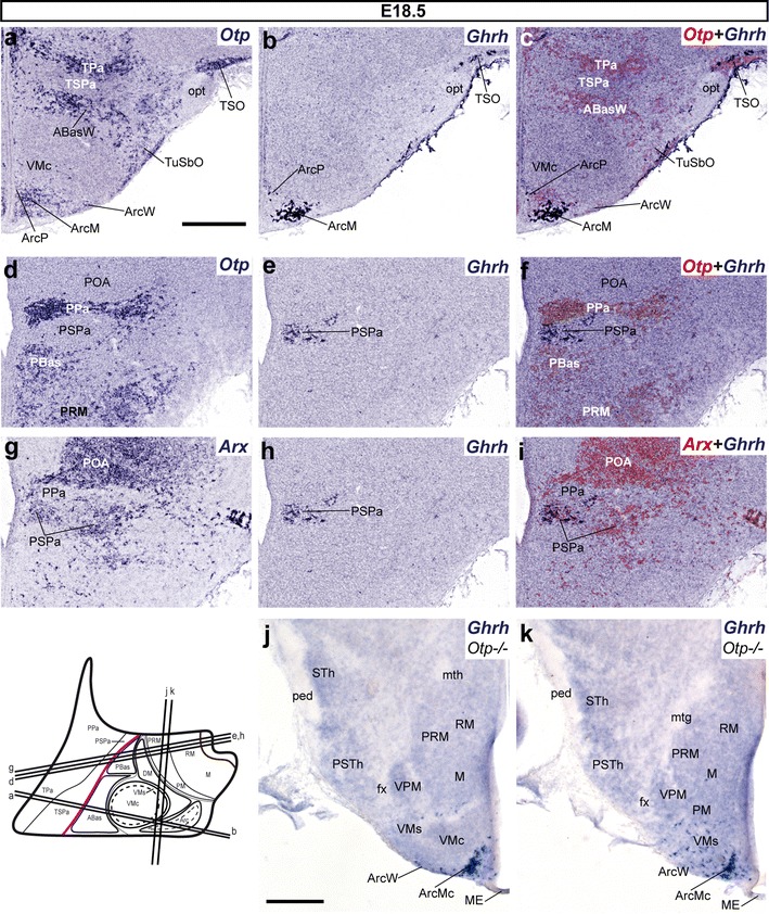 Fig. 12