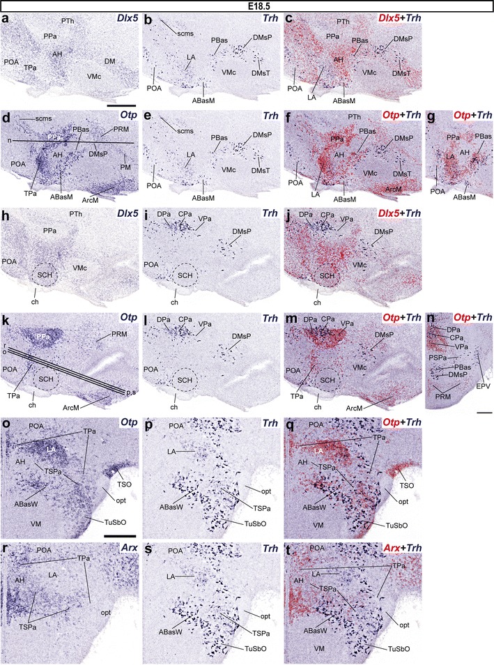 Fig. 7