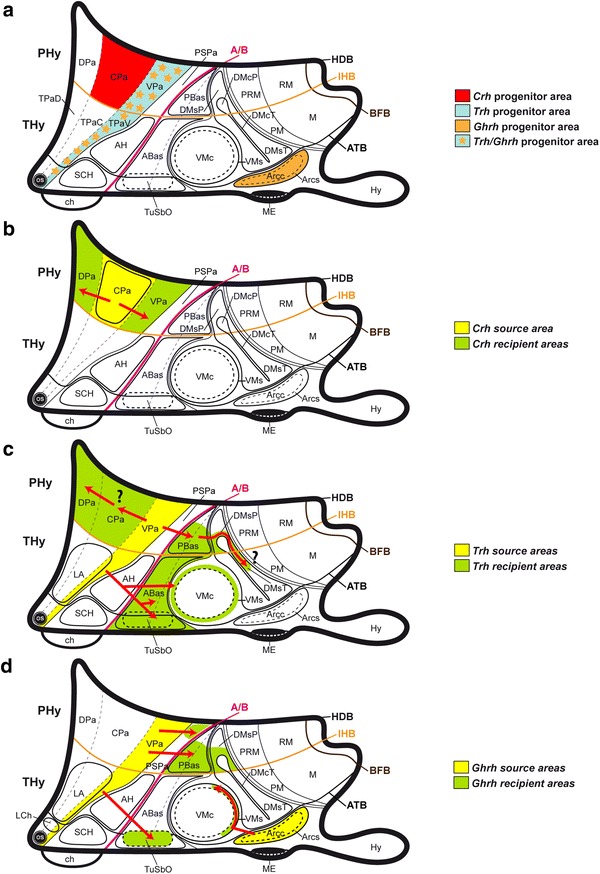 Fig. 13