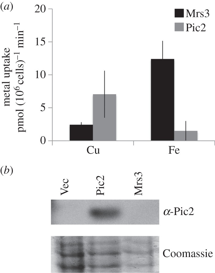 Figure 5.