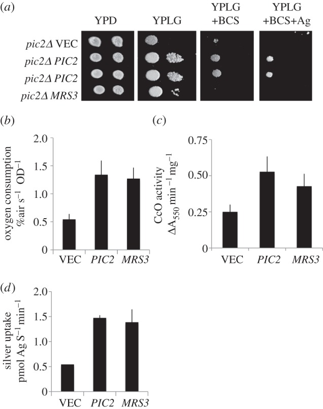 Figure 2.