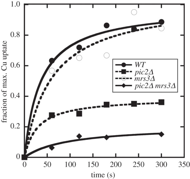 Figure 4.