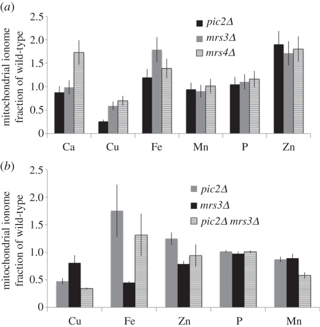 Figure 3.