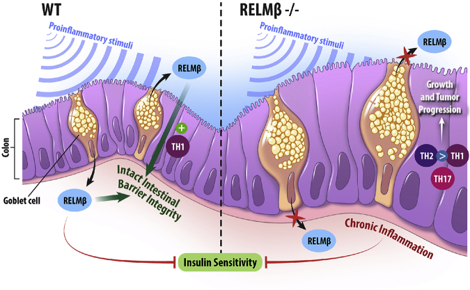 Figure 7