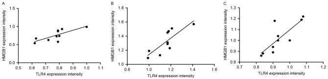 Figure 2.