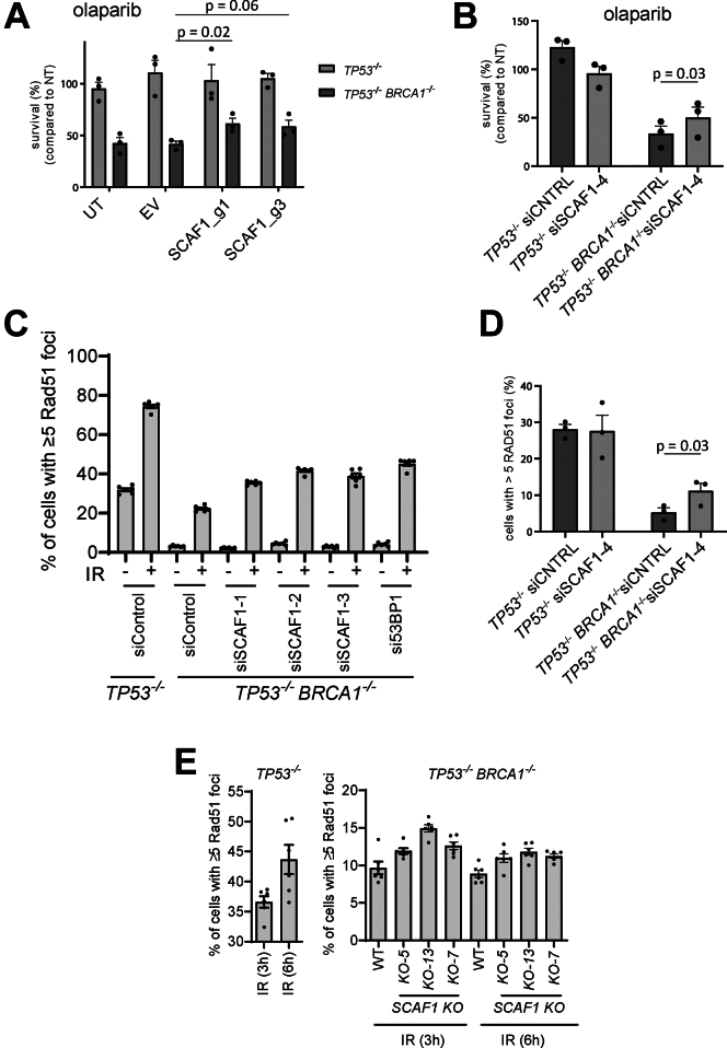 Fig. 6