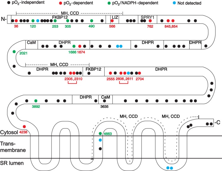 FIGURE 6.