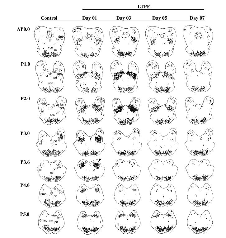 Fig. 3