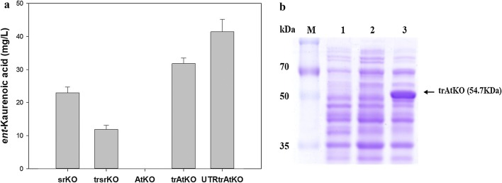 Fig. 3